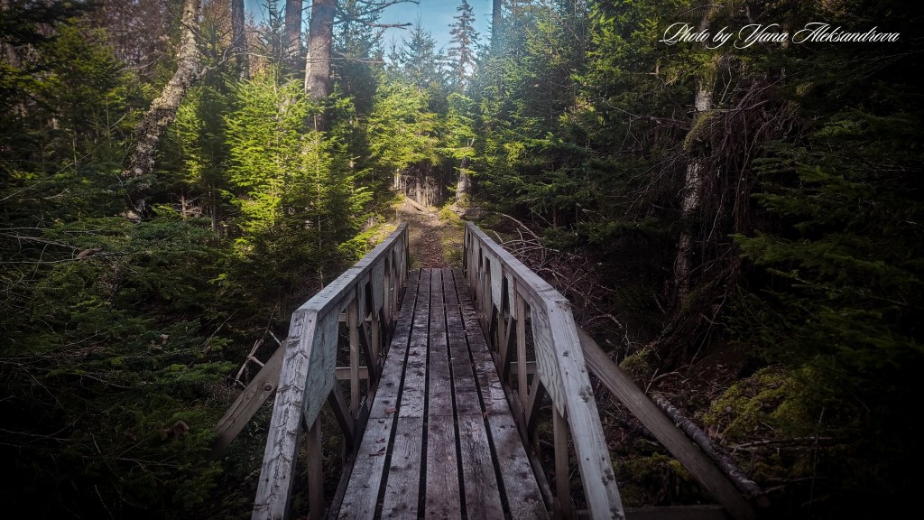 Estuary Loop Trail Five Islands Provincial Park Nova Scotia Canada