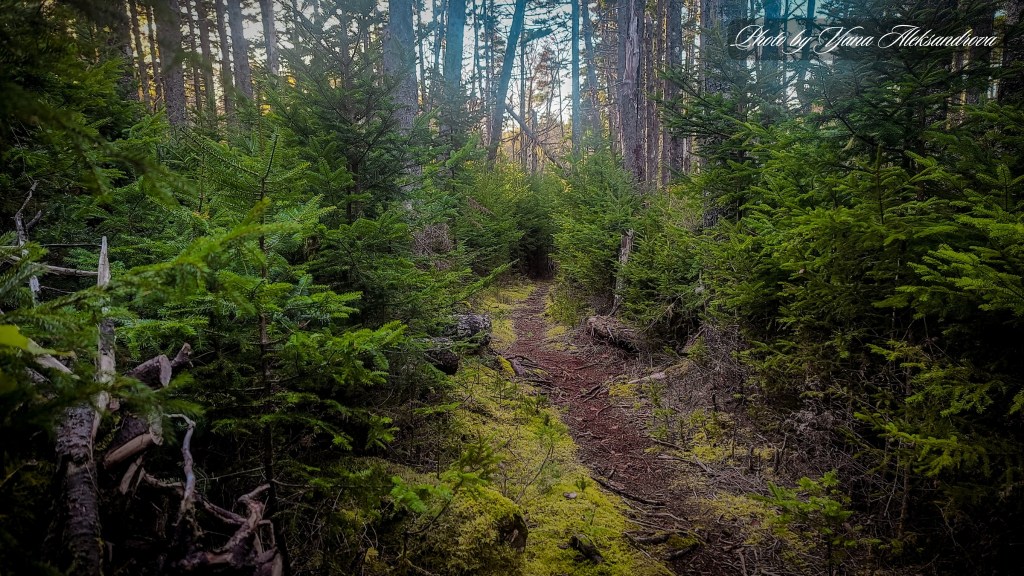 Estuary Loop Trail Five Islands Provincial Park Nova Scotia Canada