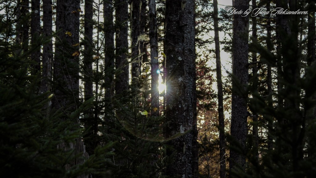Estuary Loop Trail Five Islands Provincial Park Nova Scotia Canada