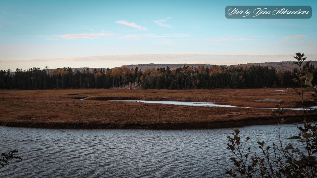 Estuary Loop Trail Five Islands Provincial Park Nova Scotia Canada