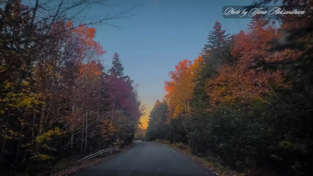 Fall colors road trip photo