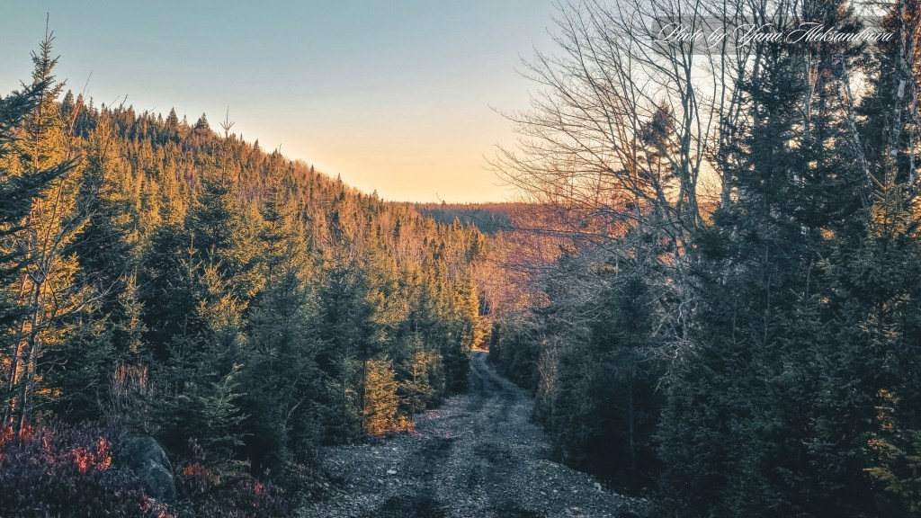 photo Castle Rock trail, NS