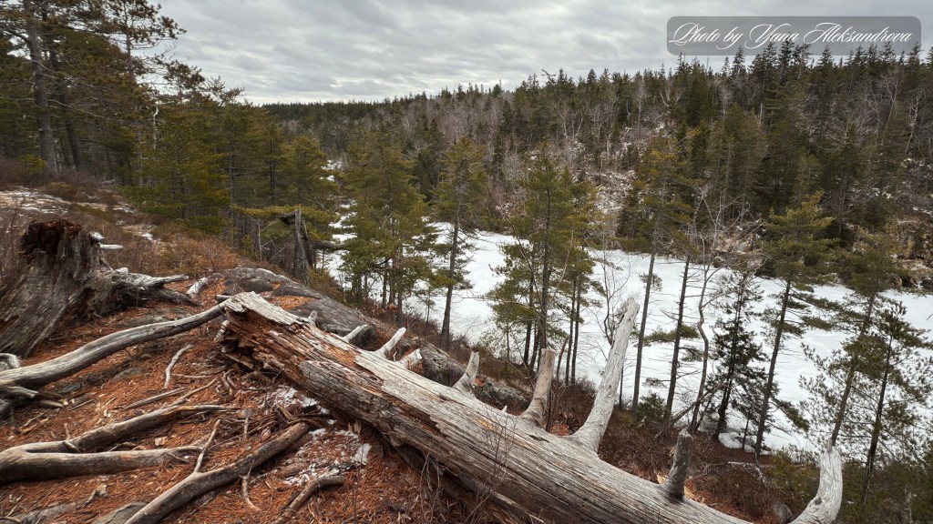 Maskwa Trails - Charlie's Lake view photo