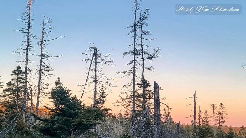 photo Castle Rock trail, NS