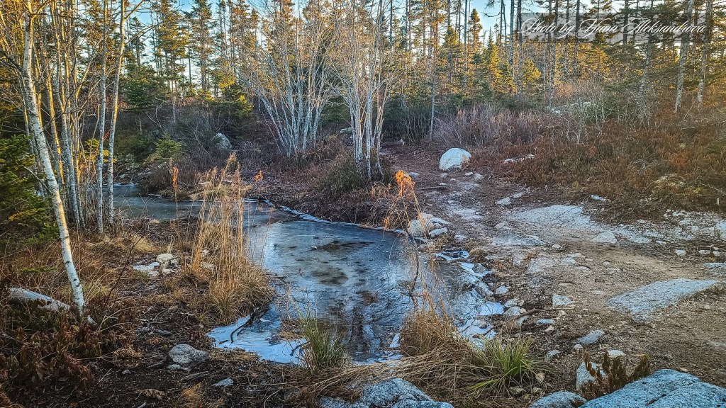photo Castle Rock trail, NS