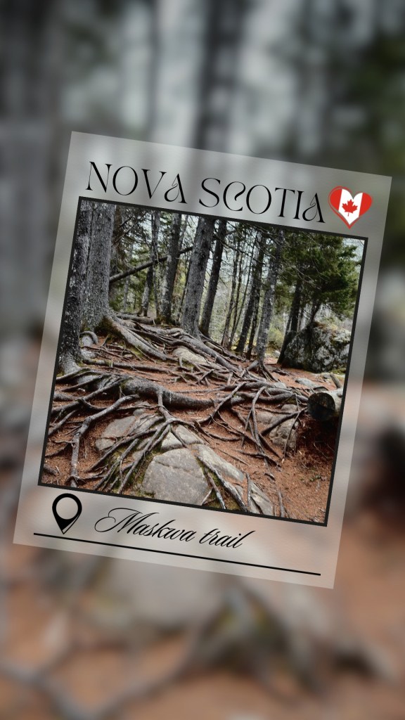 Maskwa Trails Charlies Lake reel