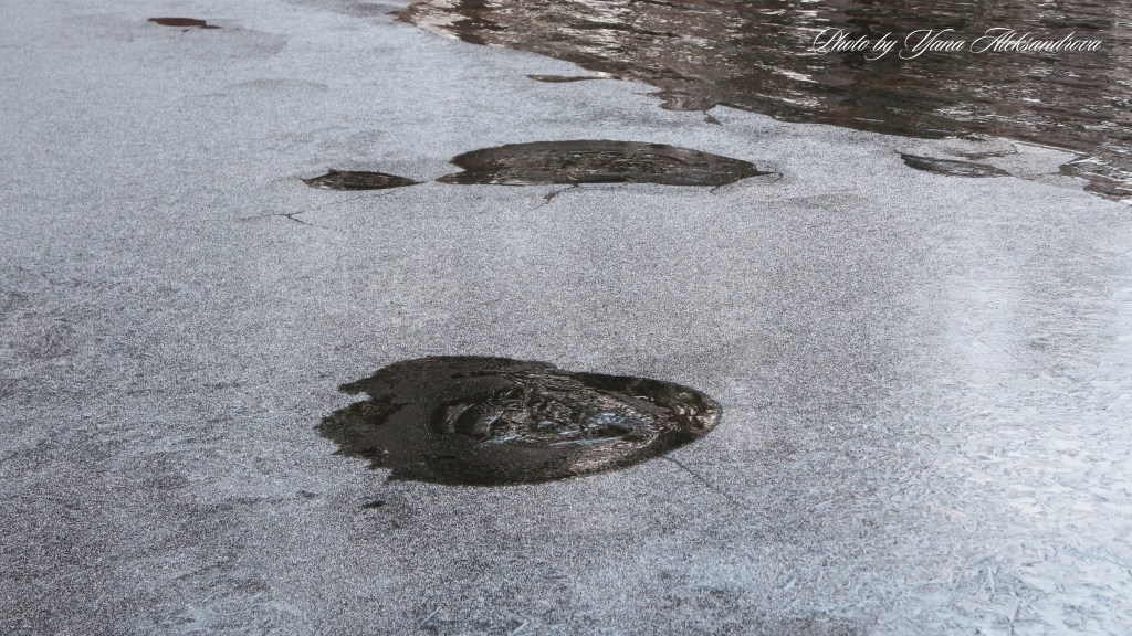 Cottage by the Fox Point Lake in Hubbards Nova Scotia