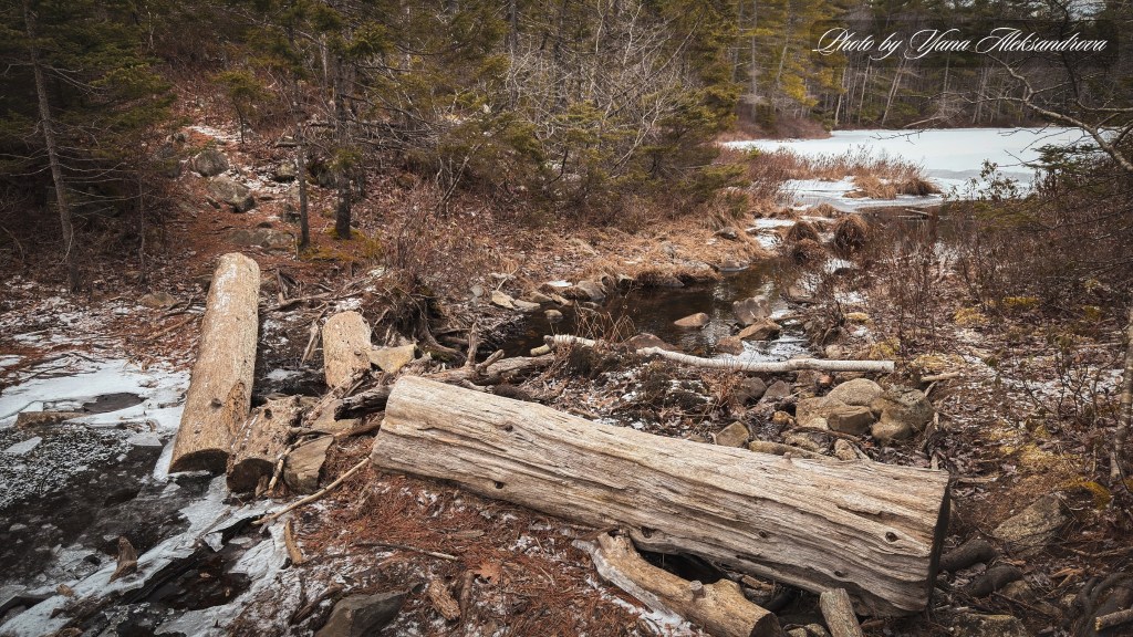 Maskwa Trails - Charlie's Lake hike photo