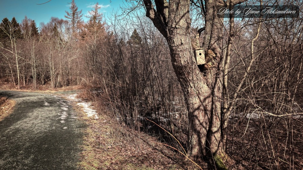 Hiking Costley Farm Heritage Trail Loop photo