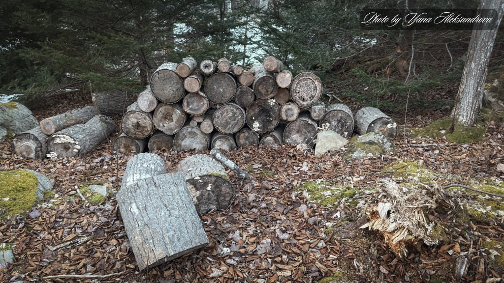 Hiking Costley Farm Heritage Trail photo