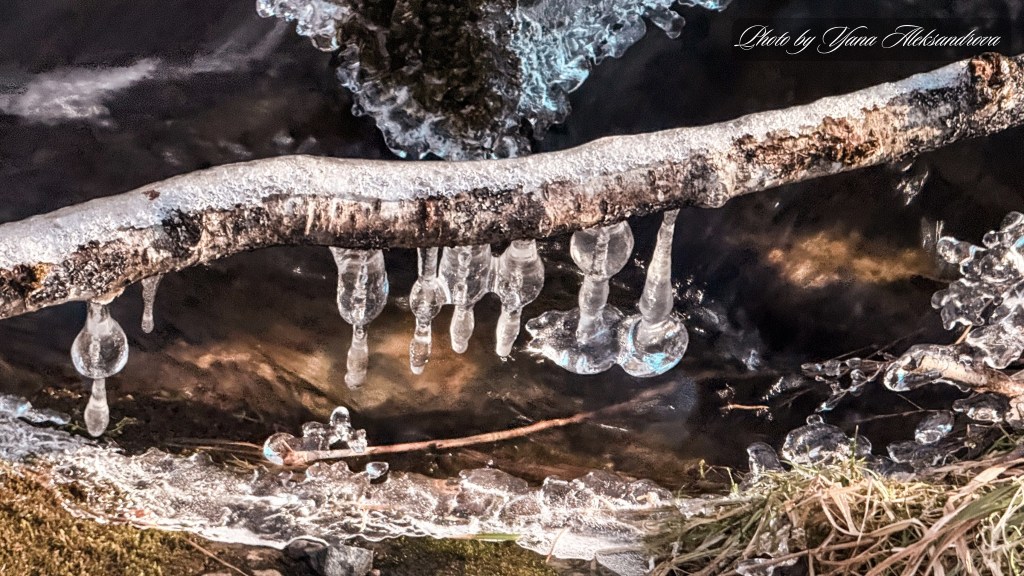 Hiking Costley Farm Heritage Trail Loop photo