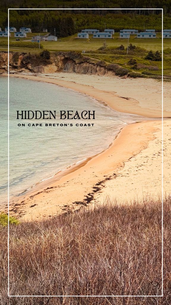 Cape Breton Island reels