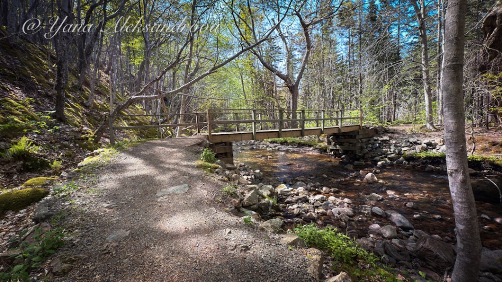 McIntosh Brook Waterfall Cape Breton Highlands National Park Photo