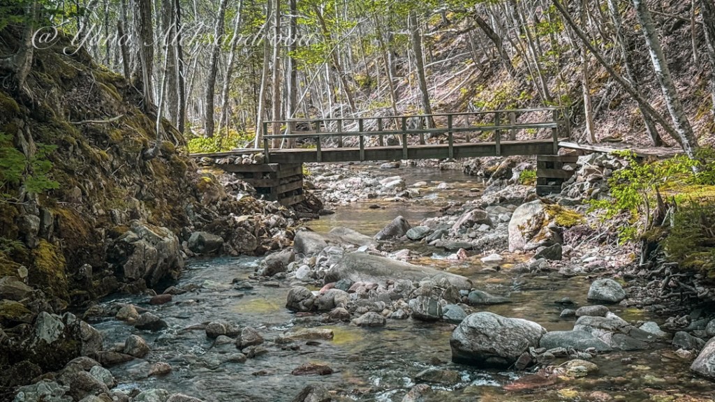 McIntosh Brook Waterfall Cape Breton Highlands National Park Photo