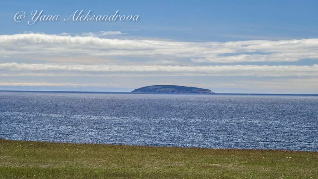Whale Cove Beach, Nova Scotia Photo by Yana Aleksandrova