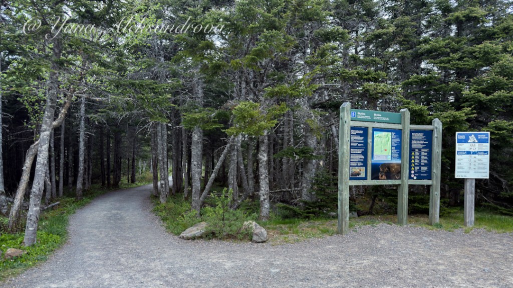 Skyline Trail, Cabot Trail Photo