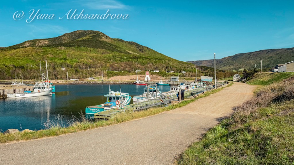 Pleasant Bay marina and Lighthouse Cape Breton Island Photo