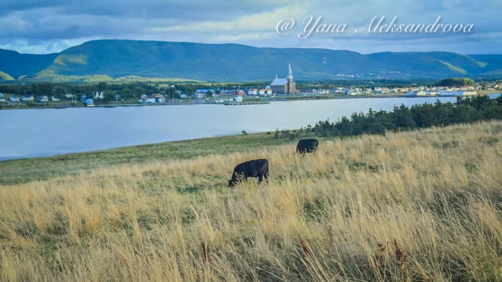 Chéticamp Island, Cape Breton Island, Nova Scotia, Canada. Photo