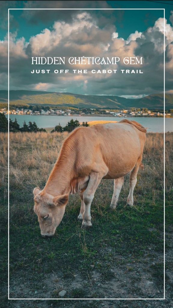 CAPE BRETON ROAD TRIP — WEST COAST reel