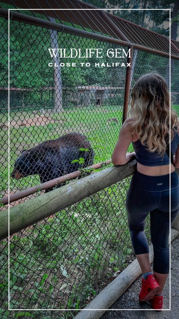 Shubenacadie Wildlife Park, Nova Scotia, Canada. reel