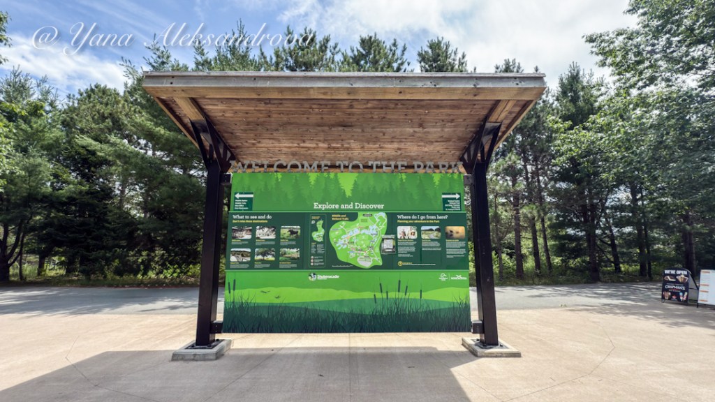 Shubenacadie Wildlife Park, Nova Scotia, Canada. Photo