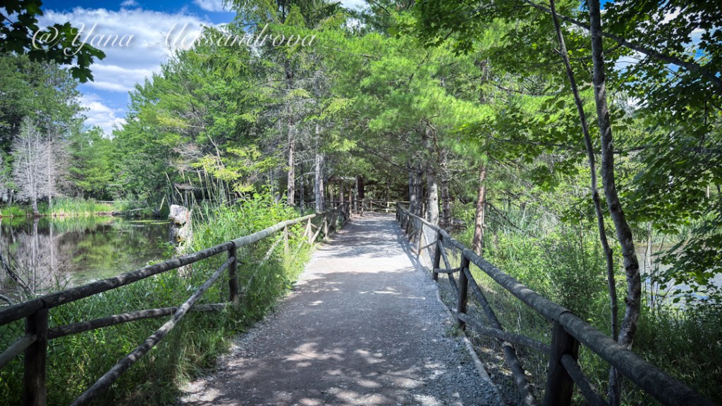 Shubenacadie Wildlife Park, Nova Scotia, Canada. Photo