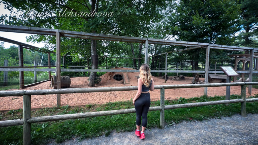 Shubenacadie Wildlife Park, Nova Scotia, Canada. Photo