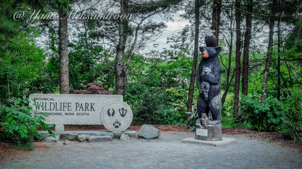 Shubenacadie Wildlife Park, Nova Scotia, Canada. Photo